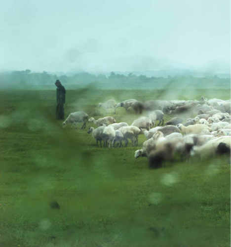 作品解读一:雨中牧羊